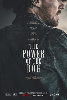 犬之力 The Power of the Dog[电影解说]